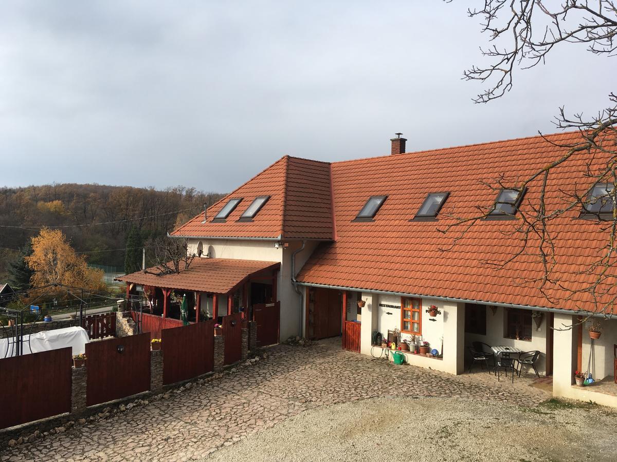 Bakonyi Apartmanhaz Eplény 外观 照片